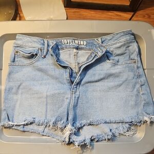 Idyllwind Women's Frayed Light Blue Jean Shorts